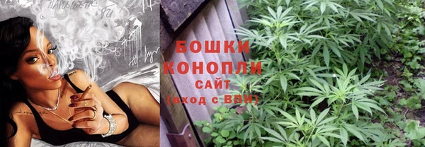 молекула духа Бугульма