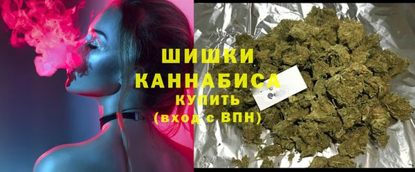PSILOCYBIN Бородино