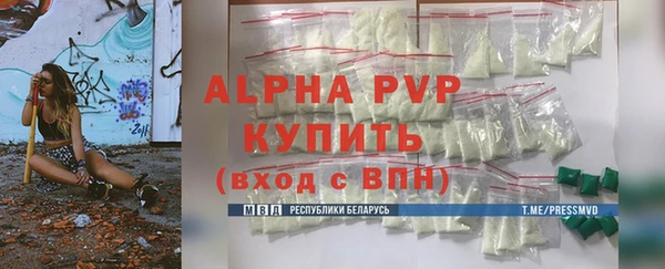 PSILOCYBIN Бородино