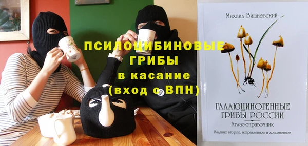 молекула духа Бугульма